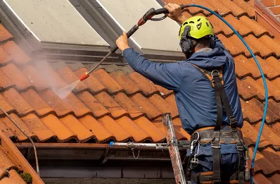 Démoussage et hydrofuge de toiture à Fleuriel